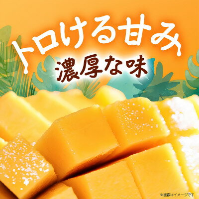 沖縄県中城村の画像2