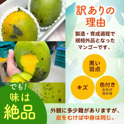 沖縄県中城村の画像3