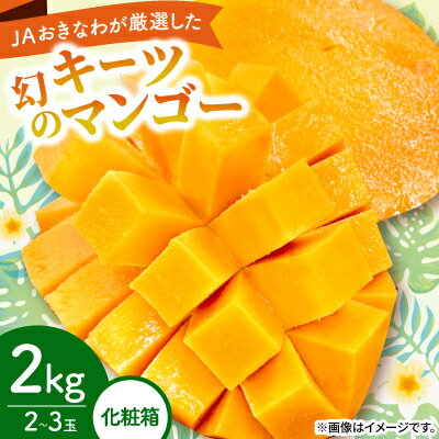 【ふるさと納税】【2026年8月から順次発送・化粧箱】JAおきなわ厳選した幻のキーツマンゴー2kg(2〜3玉)【配送不可地域:離島】【1681785】