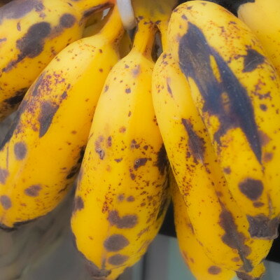 沖縄県中城村の画像2