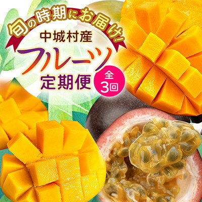 95位! 口コミ数「0件」評価「0」【発送月固定定期便】2026年発送 JAおきなわが厳選する南国フルーツ定期便全3回【配送不可地域：離島】【4077025】