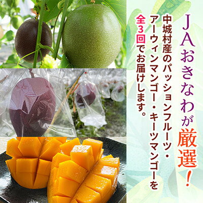 沖縄県中城村の画像2