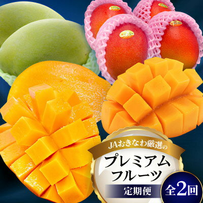 88位! 口コミ数「0件」評価「0」【発送月固定定期便】2026年発送 JAおきなわ厳選のプレミアムフルーツ定期便全2回【配送不可地域：離島】【4077040】