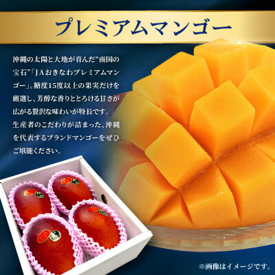 沖縄県中城村の画像2