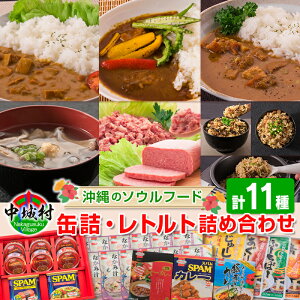 【ふるさと納税】缶詰・レトルト詰め合わせセット2（沖縄のお肉缶詰セット＆なかみ汁350g×12パックセット＆レトルトカレー3種セット＆レトルトじゅーしぃの素4種セット）