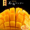 【ふるさと納税】＜2024年6月中旬〜8月上旬出荷＞先行予約 美しさ秀逸、完熟中城美ら島マンゴー4〜6玉（約2kg秀品）