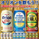 【ふるさと納税】 オリオンビール ふるさと納税 ビール 沖縄県 オリオン3種詰合せセット（350ml×4本×3種）