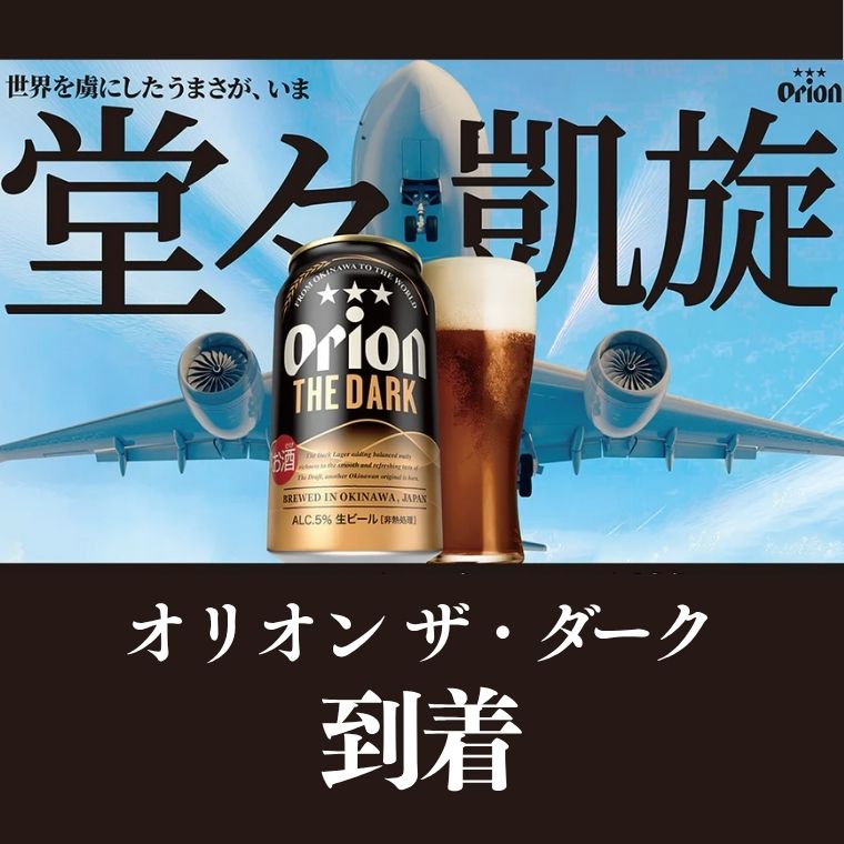 【ふるさと納税】ORION THE DARK　オリオン ザ・ダーク（350ml×24本）限定品 ビール 缶ビール 生ビール オリオンビール 缶ビール ラガー お酒 発泡酒 アルコール 沖縄県 中城村 送料無料 贈答 贈り物 人気 ギフト