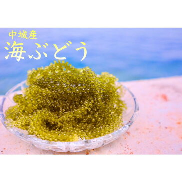 【ふるさと納税】海ぶどう（500g×4個セット）タレ付き