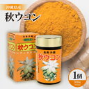 【ふるさと納税】沖縄県産 秋ウコン 1個(700粒)【1521399】