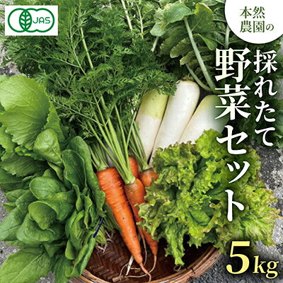 【ふるさと納税】【有機JAS認証】本然農園の採れたて野菜セット5kg【配送不可地域：離島】【1779474】