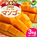 【ふるさと納税】【2026年6月から順次発送・訳あり】アップルマンゴー3.0kg(6~12玉)_ マンゴー フルーツ 果物 くだもの アップルマンゴー 人気 おすすめ 送料無料 訳あり 数量限定 期間限定 傷 規格外 完熟 沖縄県 冷蔵 【配送不可地域:離島】【1494041】