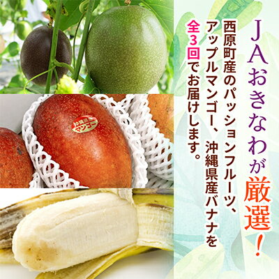 【ふるさと納税】【発送月固定定期便】JAおきなわ厳選フルーツセット(パッションフルーツ・マンゴー・島バナナ)全3回【配送不可地域：離島】【4080887】
