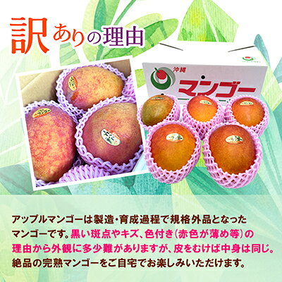 【ふるさと納税】【発送月固定定期便】JAおきなわ厳選フルーツセット(パッションフルーツ・マンゴー・島バナナ)全3回【配送不可地域：離島】【4080887】 f473294-nishihara-10000769 沖縄県西原町 サンプル画像3