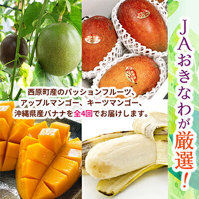 【ふるさと納税】【発送月固定定期便】JAおきなわ厳選!季節の南国フルーツ 西原町の旬の味覚をお届け全4回【配送不可地域：離島】【4080888】
