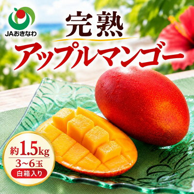 【ふるさと納税】【2027年6月下旬から順次発送・家庭用】JAおきなわ厳選 完熟アップルマンゴー1.5kg_ マンゴー 沖縄県 沖縄 フルーツ 果物 美味しい 人気 【配送不可地域：離島】【1390899】