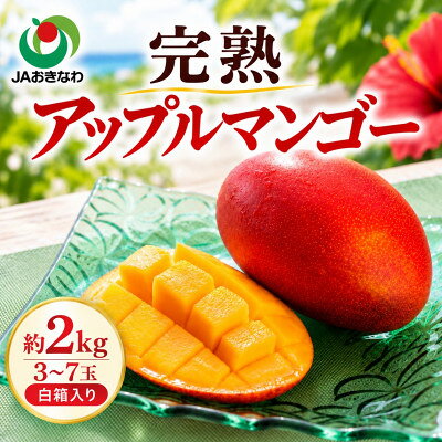 【ふるさと納税】【2027年6月下旬から順次発送・家庭用】JAおきなわ厳選 完熟アップルマンゴー2kg(3～7玉)_ マンゴー 沖縄県 沖縄 フルーツ 果物 人気 美味しい 【配送不可地域：離島】【1390903】
