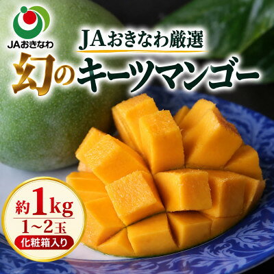 [2027年8月上旬から順次発送・贈答用]JAおきなわ厳選 幻のキーツマンゴー約1kg(1〜2玉)[配送不可地域:離島]