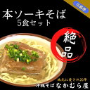 【ふるさと納税】本ソーキそば(細麺・5食セット)沖縄そば【配送不可地域:離島】【1471005】