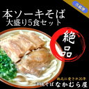 【ふるさと納税】本ソーキそば(細麺・大盛り5食セット)沖縄そば【配送不可地域:離島】【1471009】