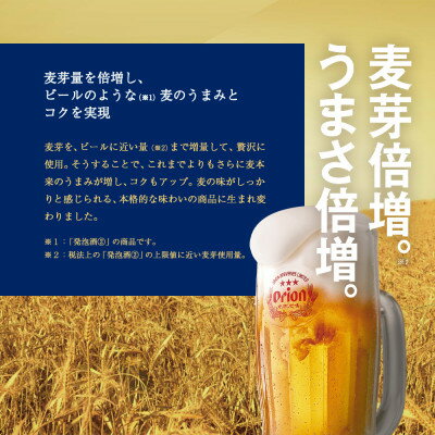 【ふるさと納税】オリオンビール オリオン麦職人(350ml×48本)【1472510】