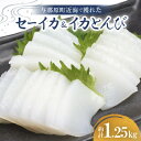 【ふるさと納税】セーイカ1kg イカとんび250g お刺身用 約1.25kg【配送不可地域:離島】【1564534】