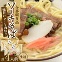 【ふるさと納税】沖縄そば ソーキそば 生麺 4人前(2食×2袋)【1586102】