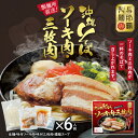 【ふるさと納税】沖縄そば と ソーキ肉&三枚肉の欲張り6人前セット 本格的な沖縄の味をご自宅で!【1651064】