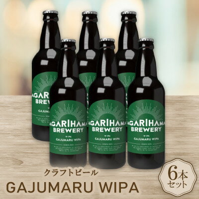 【ふるさと納税】【お歳暮・無地熨斗付き】GAJUMARU WIPA 6本セット【配送不可地域：離島】【1683903】