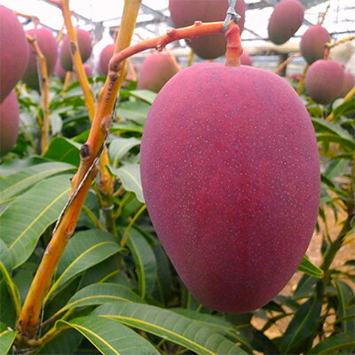 沖縄県与那原町の画像2