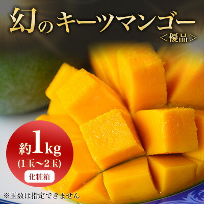 【ふるさと納税】【2024年発送】〈優品〉幻のキーツマンゴー約1kg(化粧箱)1玉～2玉【1390923】のサムネイル