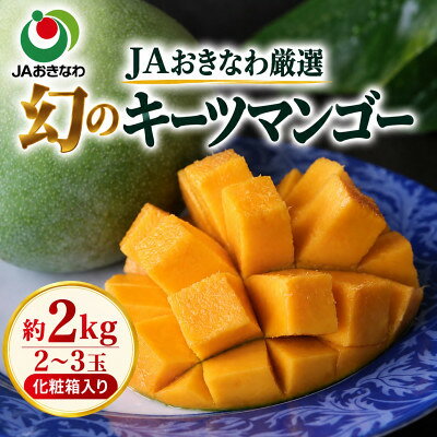 JAおきなわ厳選 幻のキーツマンゴー