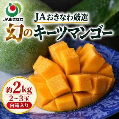JAおきなわ厳選 幻のキーツマンゴー
