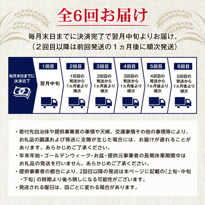 【ふるさと納税】【毎月定期便】6ヵ月定期便!オリオン ザ・プレミアム(350ml×24缶)全6回【4009594】