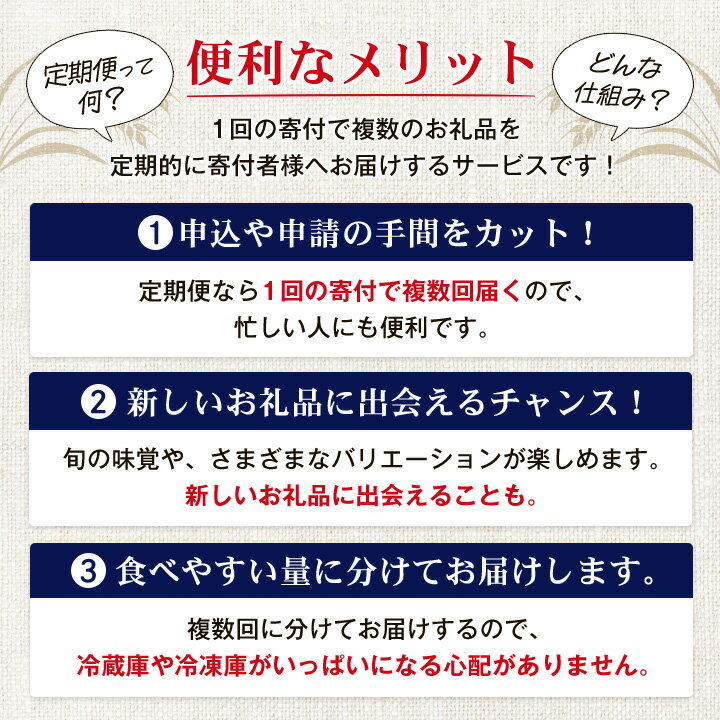 【ふるさと納税】【毎月定期便】12ヵ月定期便!オリオン ザ・プレミアム(350ml×24缶)全12回【4009595】