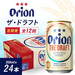 【ふるさと納税】【毎月定期便】12ヵ月定期便!オリオンビール ザ・ドラフト(350ml×24缶)全12回【4002194】