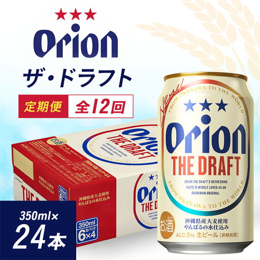 【ふるさと納税】【毎月定期便】12ヵ月定期便!オリオンビール ザ・ドラフト(350ml×24缶)全12回【4002194】 【ふるさと納税】【毎月定期便】12ヵ月定期便!オリオンビール ザ・ドラフト(350ml×24缶)全12回【4002194】