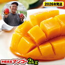 【ふるさと納税】【2026年発送】濃厚な甘さ!とろける食感!沖縄県産マンゴー2kg