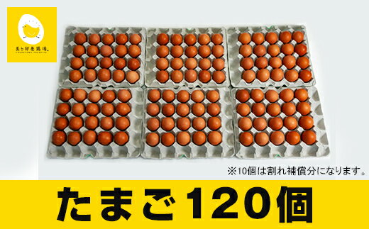 【ふるさと納税】美ら卵養鶏場の新鮮で濃厚な卵<120個入り>
