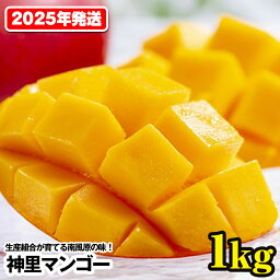 【ふるさと納税】【2024年発送】生産組合が育てる南風原の味　神里マンゴー1kg