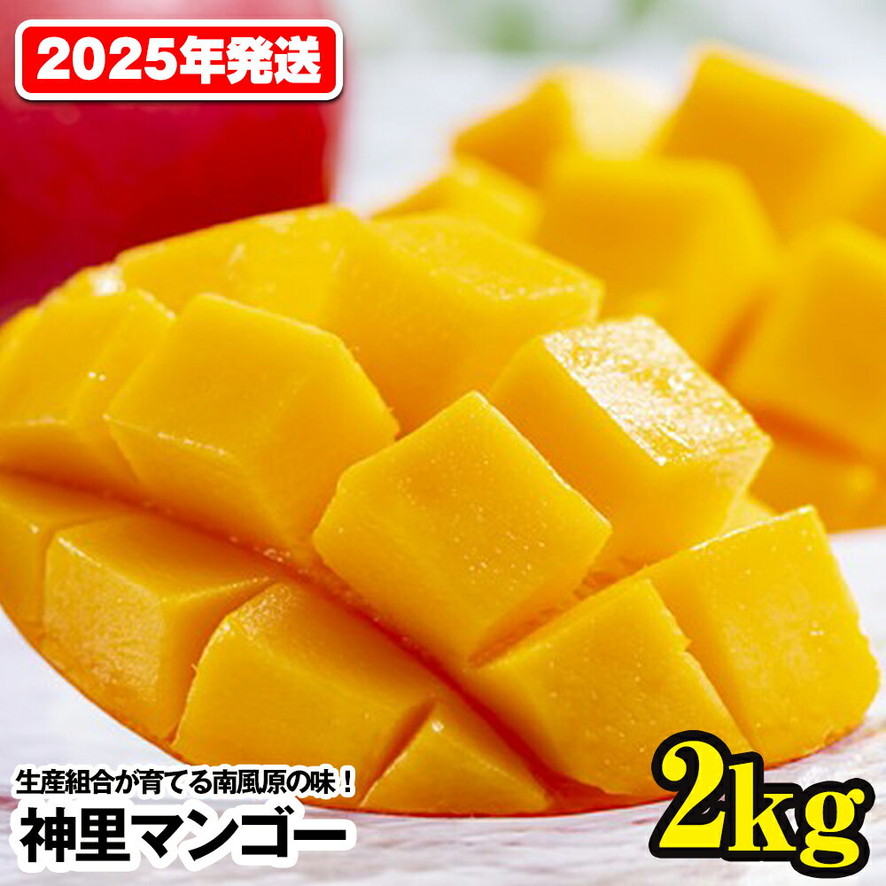 【2024年発送】生産組合が育てる南風原の味　神里マンゴー2kg