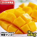 【ふるさと納税】【2026年発送】生産組合が育てる南風原の味 神里マンゴー2kg