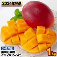 【2024年発送】南国の果物沖縄県産アップルマンゴー1kg