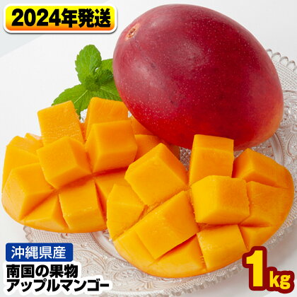 【2024年発送】南国の果物　沖縄県産アップルマンゴー　1kg