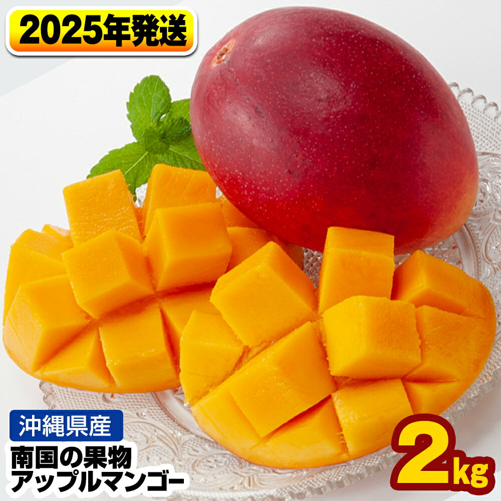 ڤդ뤵Ǽǡۡ2024ǯȯβʪ츩åץޥ󥴡2kg