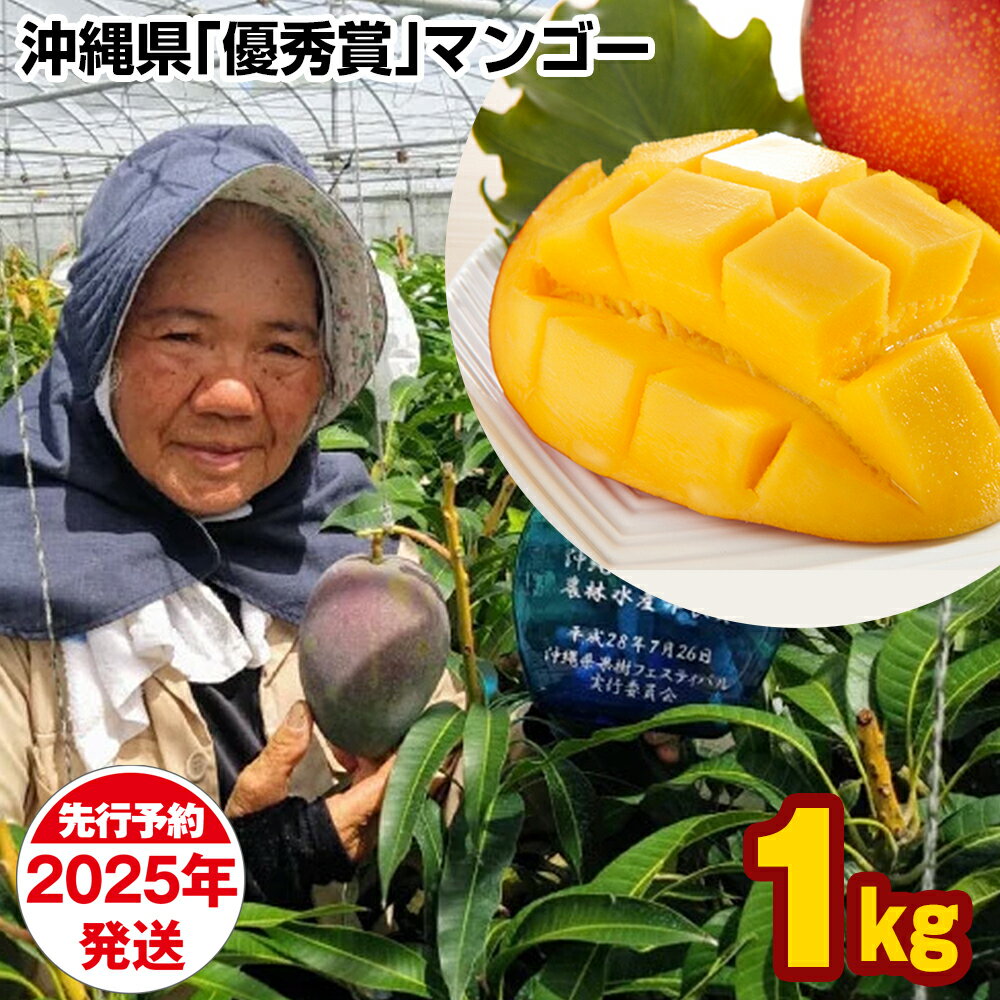 【2024年発送】芳醇な香り　とろける食感　沖縄県「優秀賞」マンゴー1kg