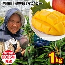 【ふるさと納税】【2025年発送】芳醇な香り とろける食感 沖縄県「優秀賞」マンゴー1kg