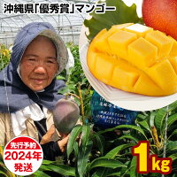 【2024年発送】芳醇な香りとろける食感沖縄県「優秀賞」マンゴー1kg