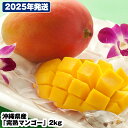 【ふるさと納税】【2026年発送】直売所で厳選 沖縄県産「完熟マンゴー」2kg