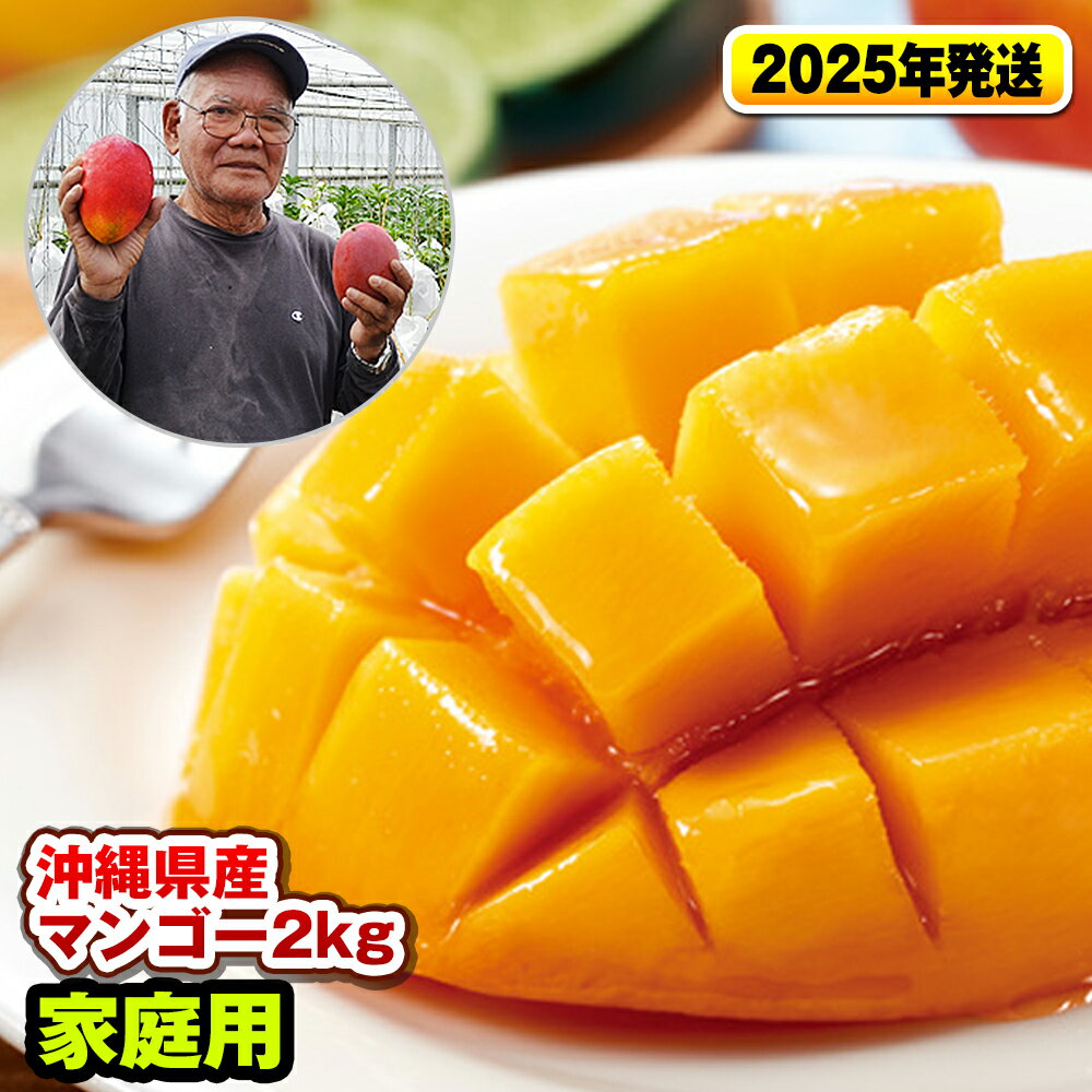 【ふるさと納税】【2024年発送】濃厚な甘さの沖縄県産マンゴー2kg（家庭用）